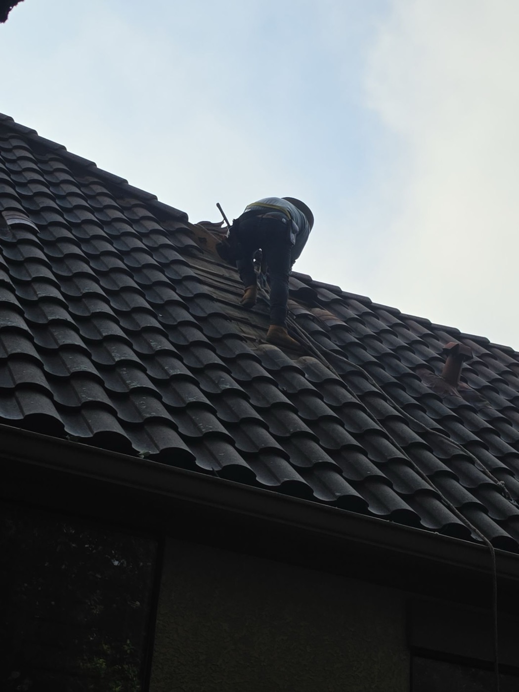 Ridge Walk · Tile